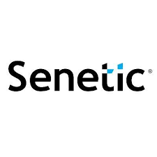 Senetic IT logo